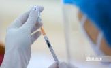 Bộ Y tế cấp phép vắc-xin phòng sốt xuất huyết
