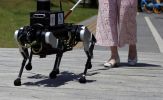 Chó robot dẫn đường hỗ trợ người khiếm thị