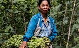 Quỹ Mekong Enterprise Fund IV và HUSK ký thỏa thuận đầu tư 5 triệu USD nhằm thúc đẩy nông nghiệp tái tạo