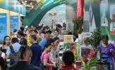 TP Hồ Chí Minh: Lễ hội sâm quốc tế thu hút đông đảo người dân đến tham quan và mua sắm