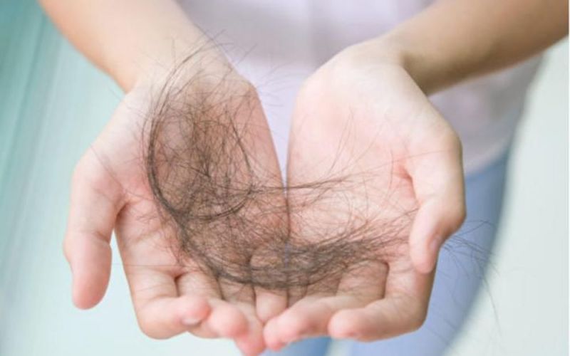 5 loại thực phẩm giúp mái tóc dày óng mượt, ngăn ngừa gãy rụng hiệu quả