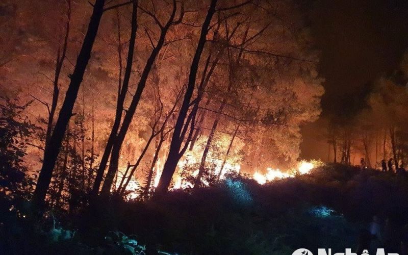 Cảnh báo cháy rừng ở Nghệ An đến cấp cực kỳ nguy hiểm