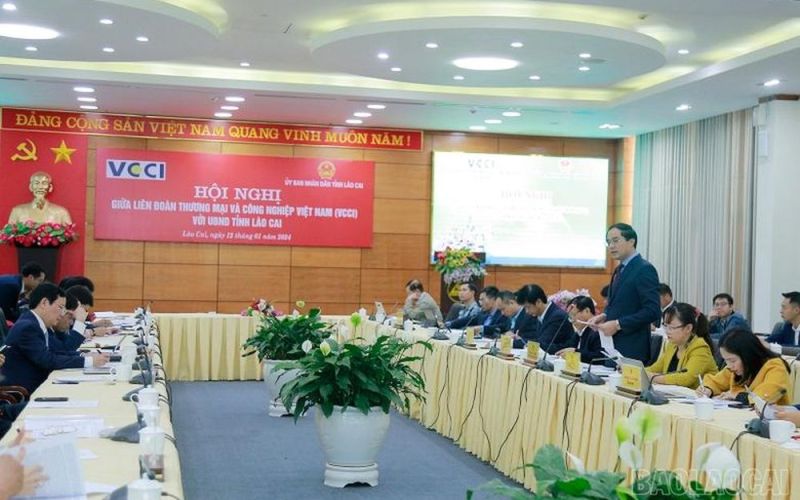 Tăng cường hợp tác giữa UBND tỉnh Lào Cai và VCCI