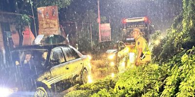 Cảnh sát giao thông Công an Tuyên Quang dọn dẹp cây đổ để phương tiện lưu thông an toàn