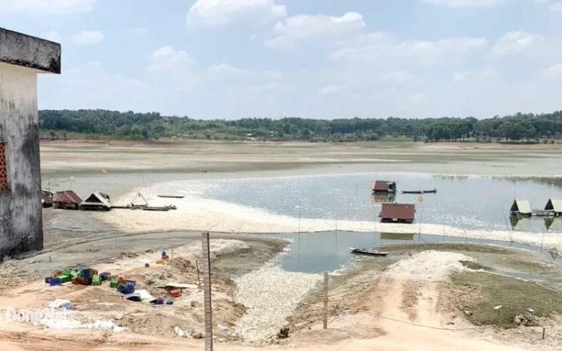 Cơ quan chức năng vào cuộc vụ hơn 100 tấn cá chết trên hồ Sông Mây, Trảng Bom
