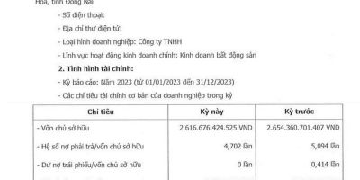 Công ty Bất động sản Đà Lạt Valley liên tục thua lỗ, nợ gần 12.300 tỷ đồng