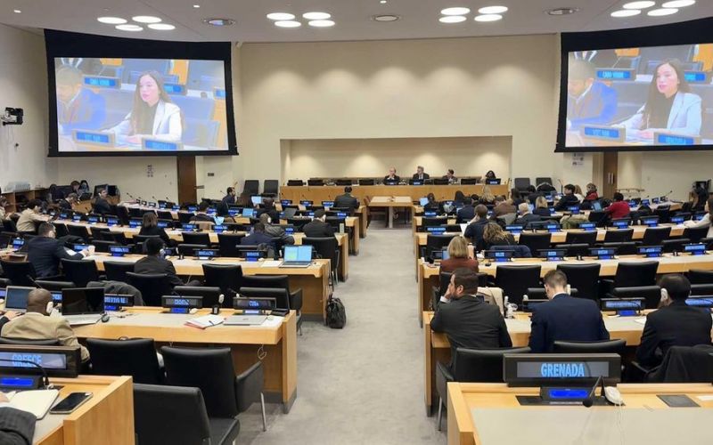 Khai mạc phiên họp của Ủy ban đặc biệt về Hiến chương Liên hợp quốc