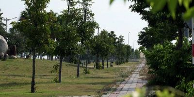 Phú Yên rà soát, báo cáo các dự án cây xanh theo yêu cầu của Bộ Công an