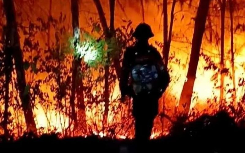 Rừng ở Nghệ An cháy rực, hàng trăm người dập lửa từ sáng đến đêm