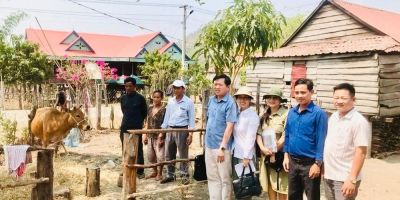 Sở Y tế Gia Lai bàn giao bò và tôn cho 5 hộ nghèo thôn Plei Hek
