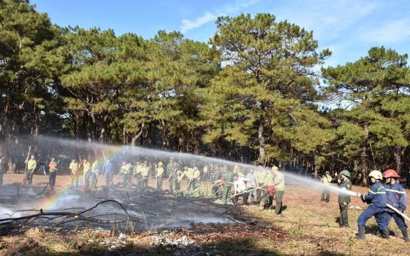 Tăng cường các biện pháp cấp bách để phòng cháy, chữa cháy rừng