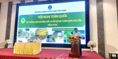 Thứ trưởng Trần Thanh Nam: Nông thôn mới tiếp tục là động lực phát triển kinh tế - xã hội