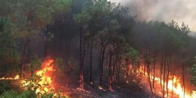 Thủ tướng chỉ đạo quyết liệt triển khai các biện pháp phòng cháy, chữa cháy rừng trên phạm vi cả nước