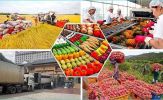 Xuất khẩu nông sản sang thị trường Trung Quốc tăng trưởng 2 con số